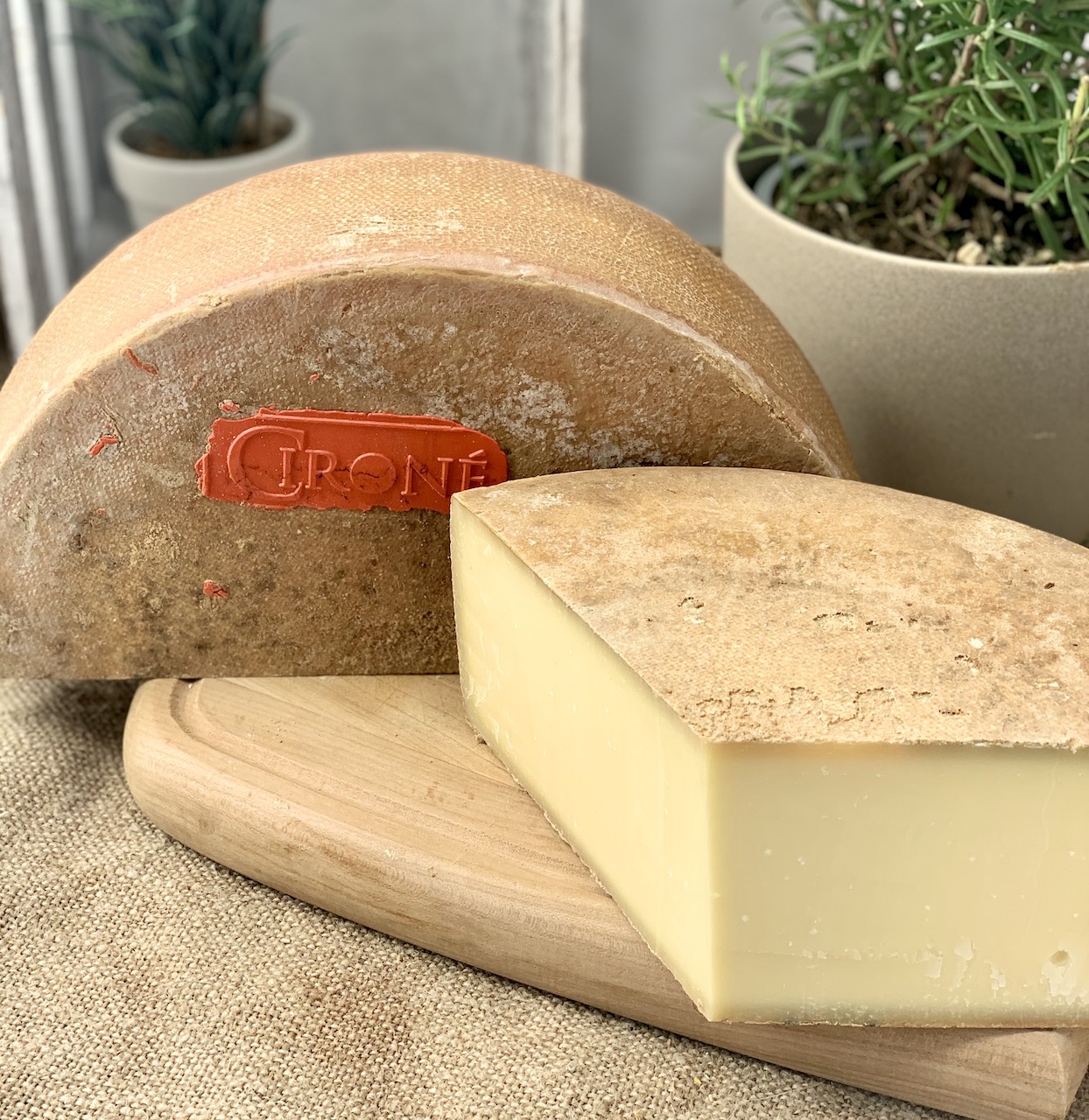 CIRONÉ - Schweizer Hartkäse aus Rohmilch