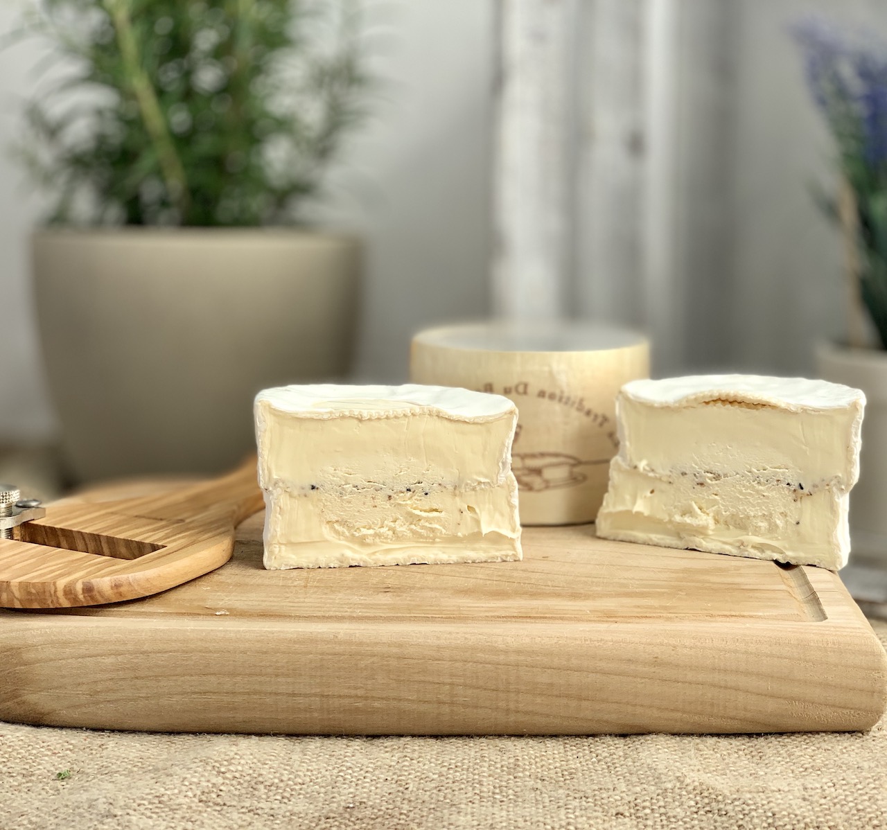DÉLICE CRÉMIER TRUFFES - Cremiger Weichkäse mit Trüffel