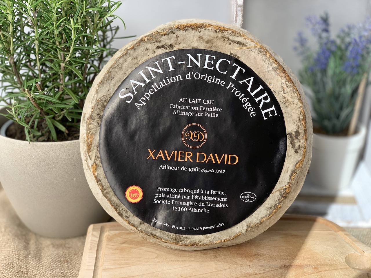 SAINT NECTAIRE FERMIER AOP - Französischer Halbhartkäse