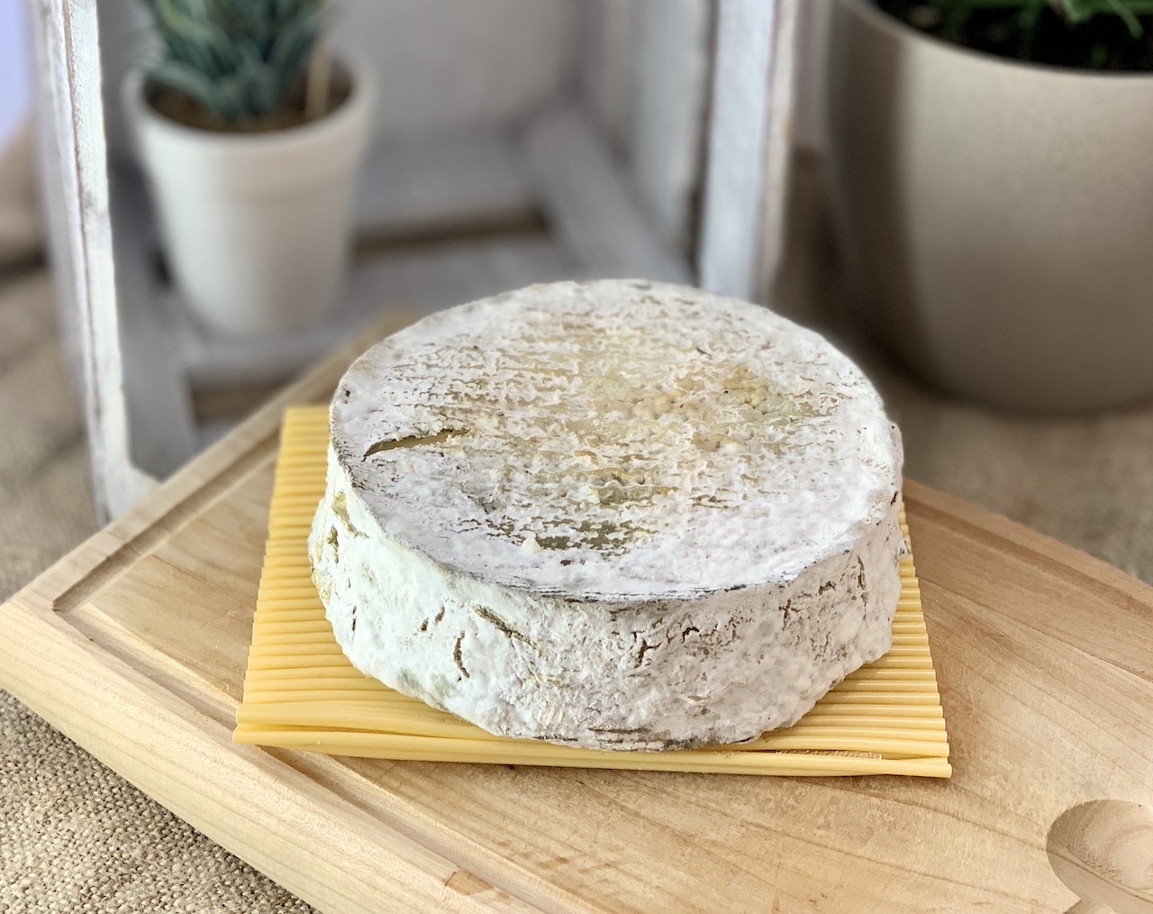 TOMME DE PRAIRIE - Ziegenweichkäse aus Frankreich
