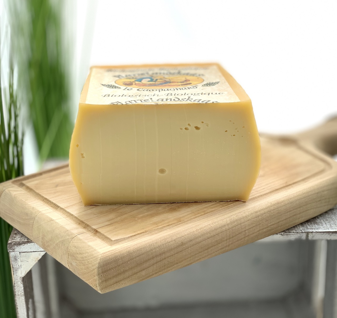 PLATTE LANDKAAS - Schnittkäse aus Belgien