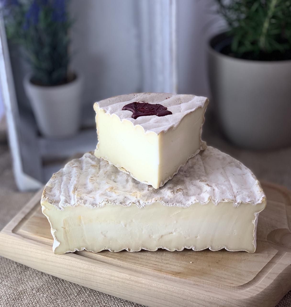 BREBI HYELZAS - Französischer Schafskäse