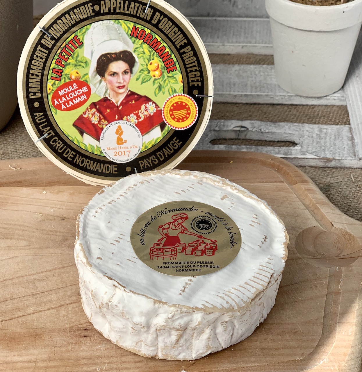 CAMEMBERT AOC CRU - Weichkäse aus der Normandie