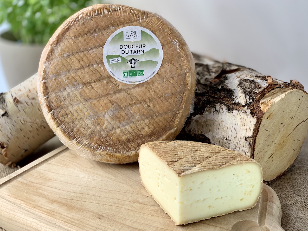 BREBI DOUCEUR DU TARN - Französischer Halbhartkäse aus den Cevennen