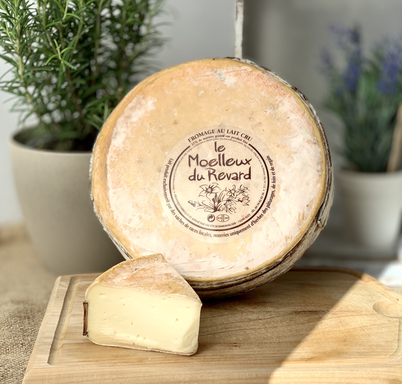 MOELLEUX DU REVARD - Cremiger Almkäse aus Frankreich